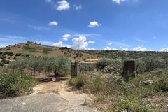 IMG-20250510-WA0024